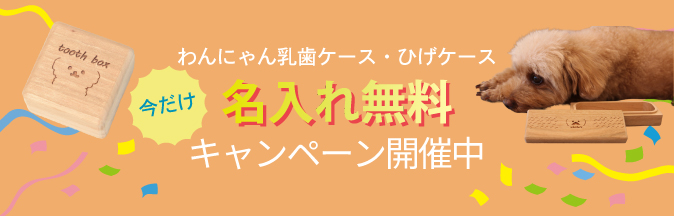 わんにゃん乳歯ケース・ひげケース名入れ無料キャンペーン実施中