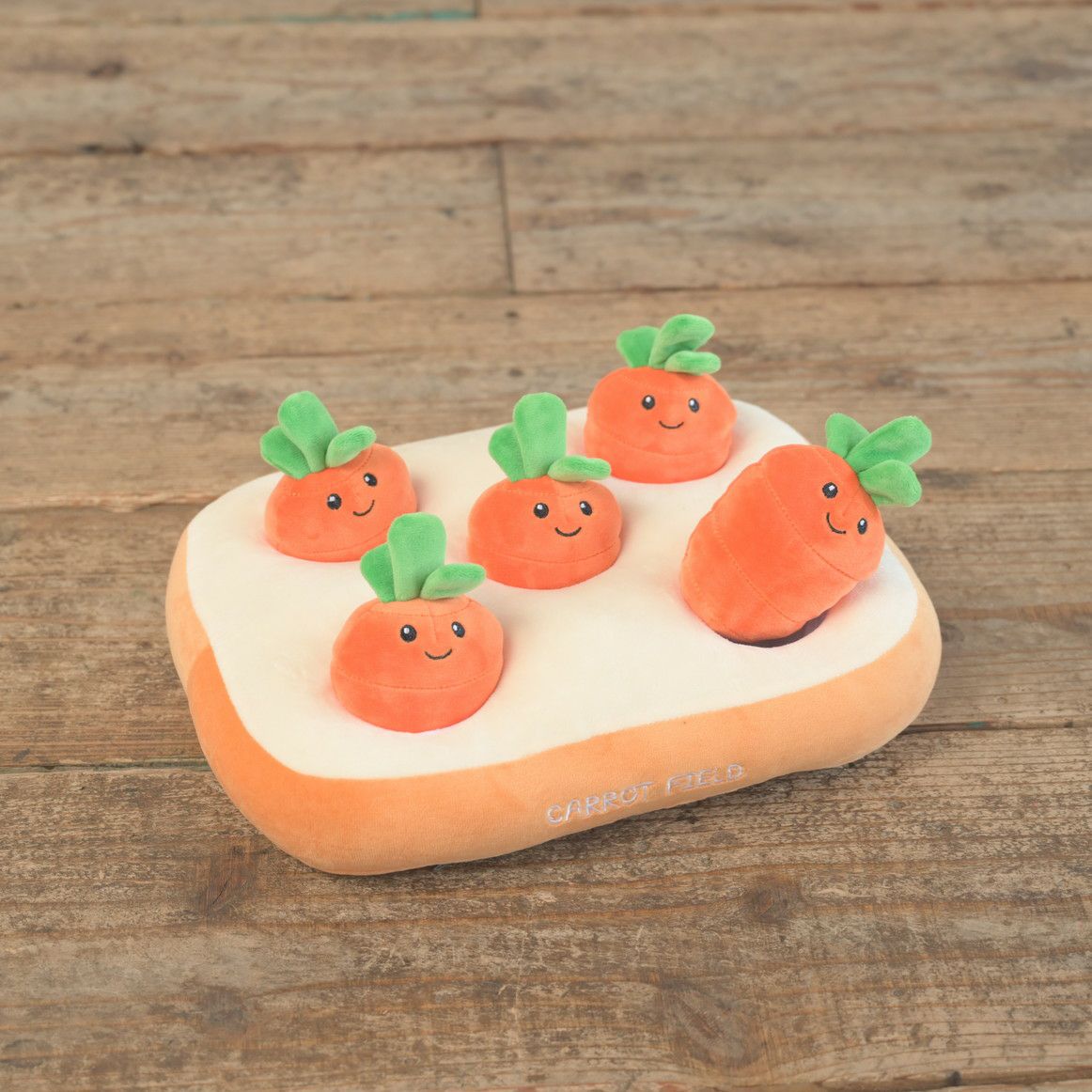 ノーズワーク わんパクッ！にんじん畑 | KISSBABY