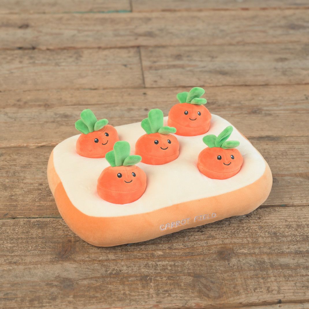 ノーズワーク わんパクッ！にんじん畑 | KISSBABY