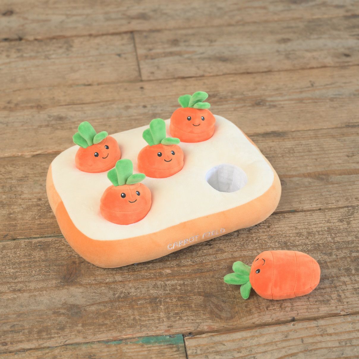 ノーズワーク わんパクッ！にんじん畑 | KISSBABY