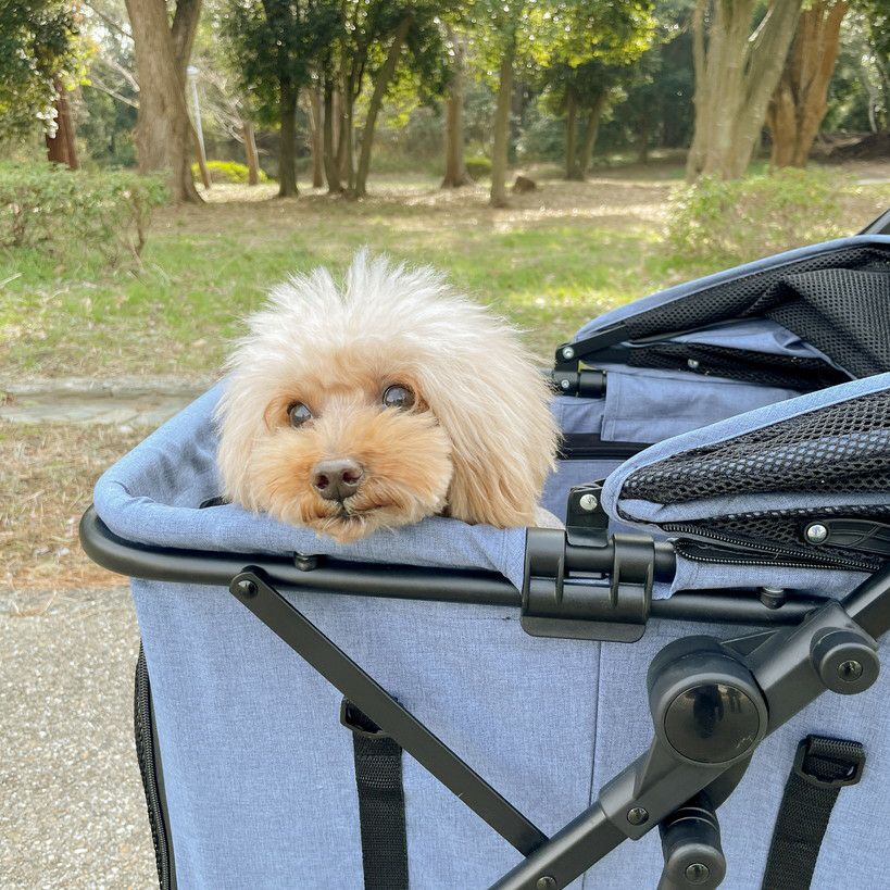 2WAY ペットカート デニム | KISSBABY