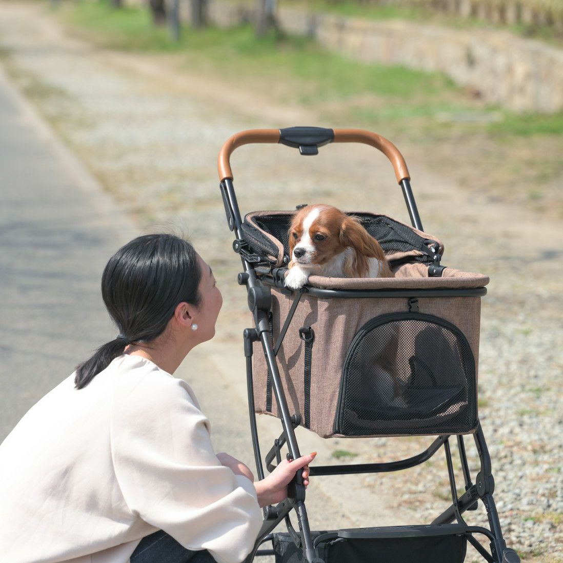 2WAY ペットカート ブラウン | KISSBABY