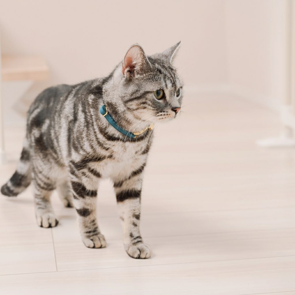猫用ペットゲート にゃんドア 脱走防止 柵 室内用 扉付き 安全設計