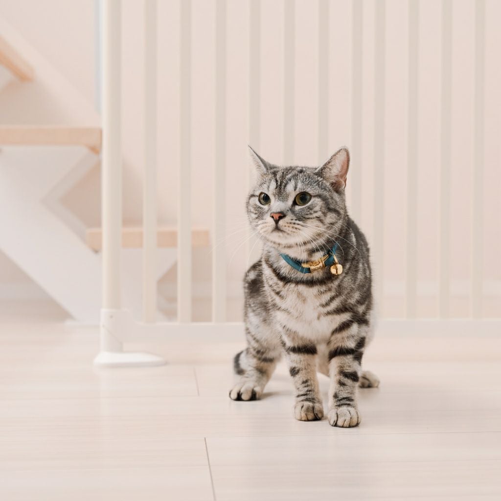 猫用ペットゲート にゃんドア 脱走防止 柵 室内用 扉付き 安全設計