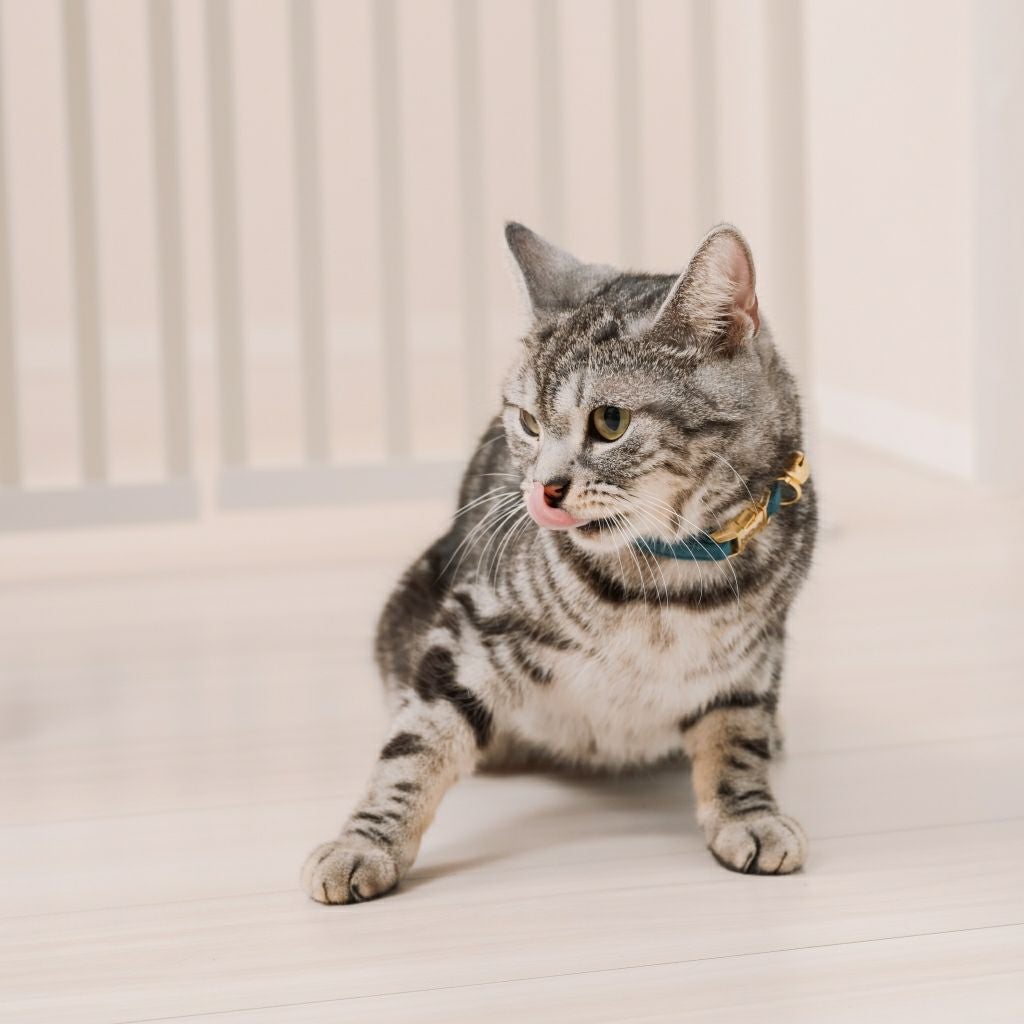 猫用ペットゲート にゃんドア 脱走防止 柵 室内用 扉付き 安全設計