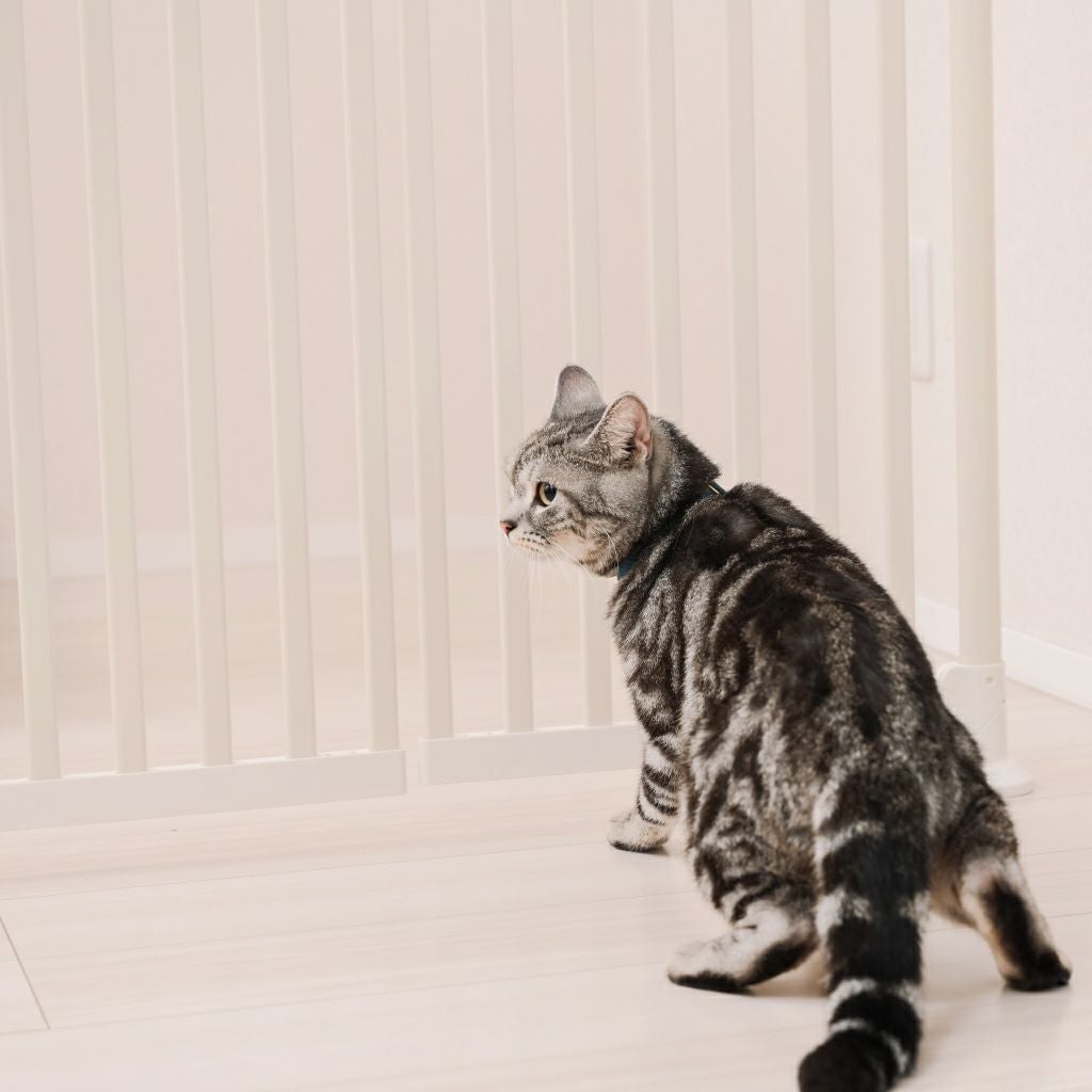 猫用ペットゲート にゃんドア 脱走防止 柵 室内用 扉付き 安全設計