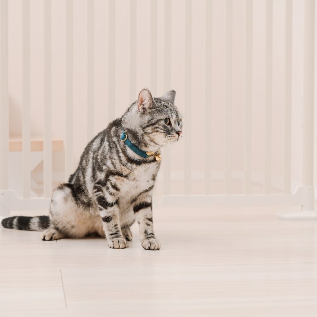 猫用ペットゲート にゃんドア 脱走防止 柵 室内用 扉付き 安全設計