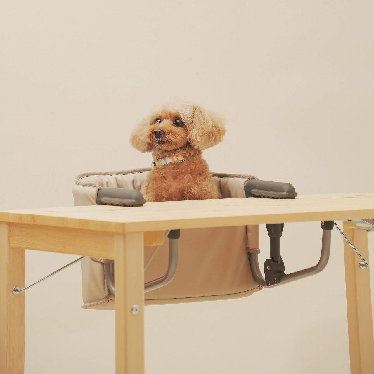 犬用チェアドッグチェアおしゃれペット椅子小型犬用折りたたみ軽量