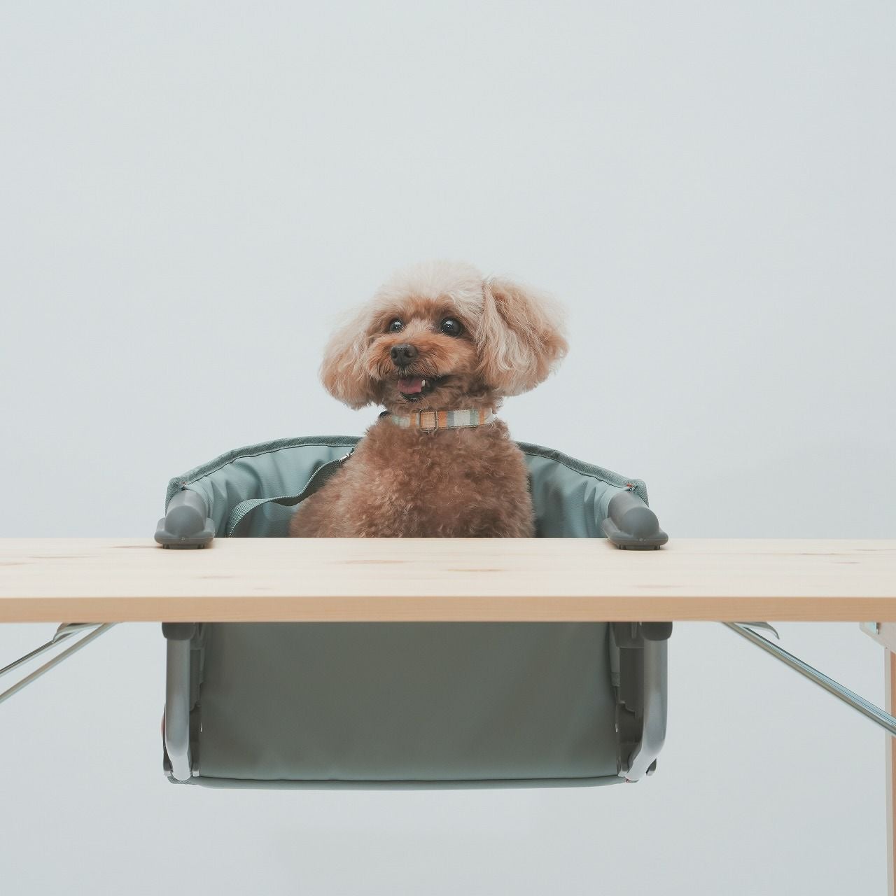 犬用チェアドッグチェアおしゃれペット椅子小型犬用折りたたみ軽量
