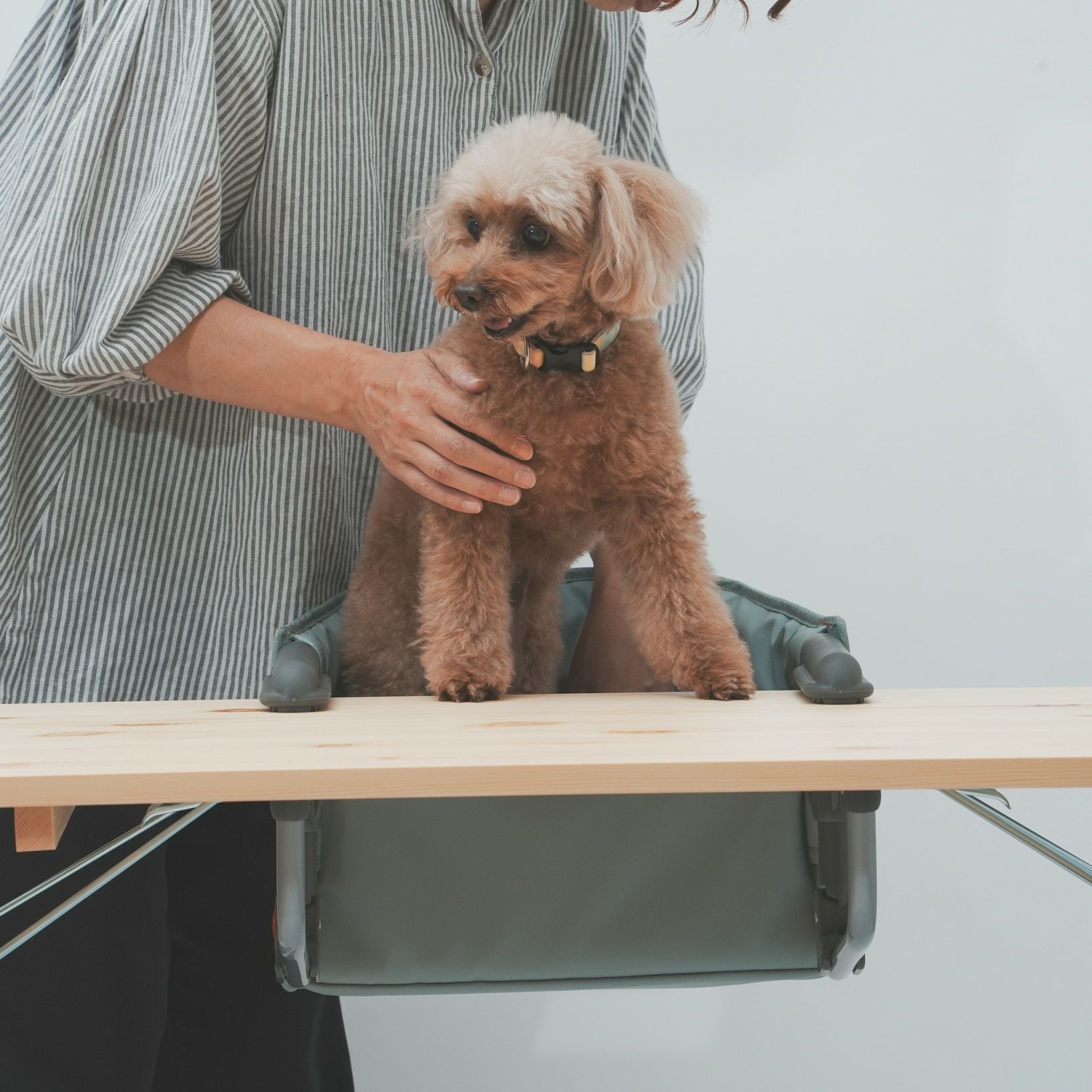 犬用チェアドッグチェアおしゃれペット椅子小型犬用折りたたみ軽量