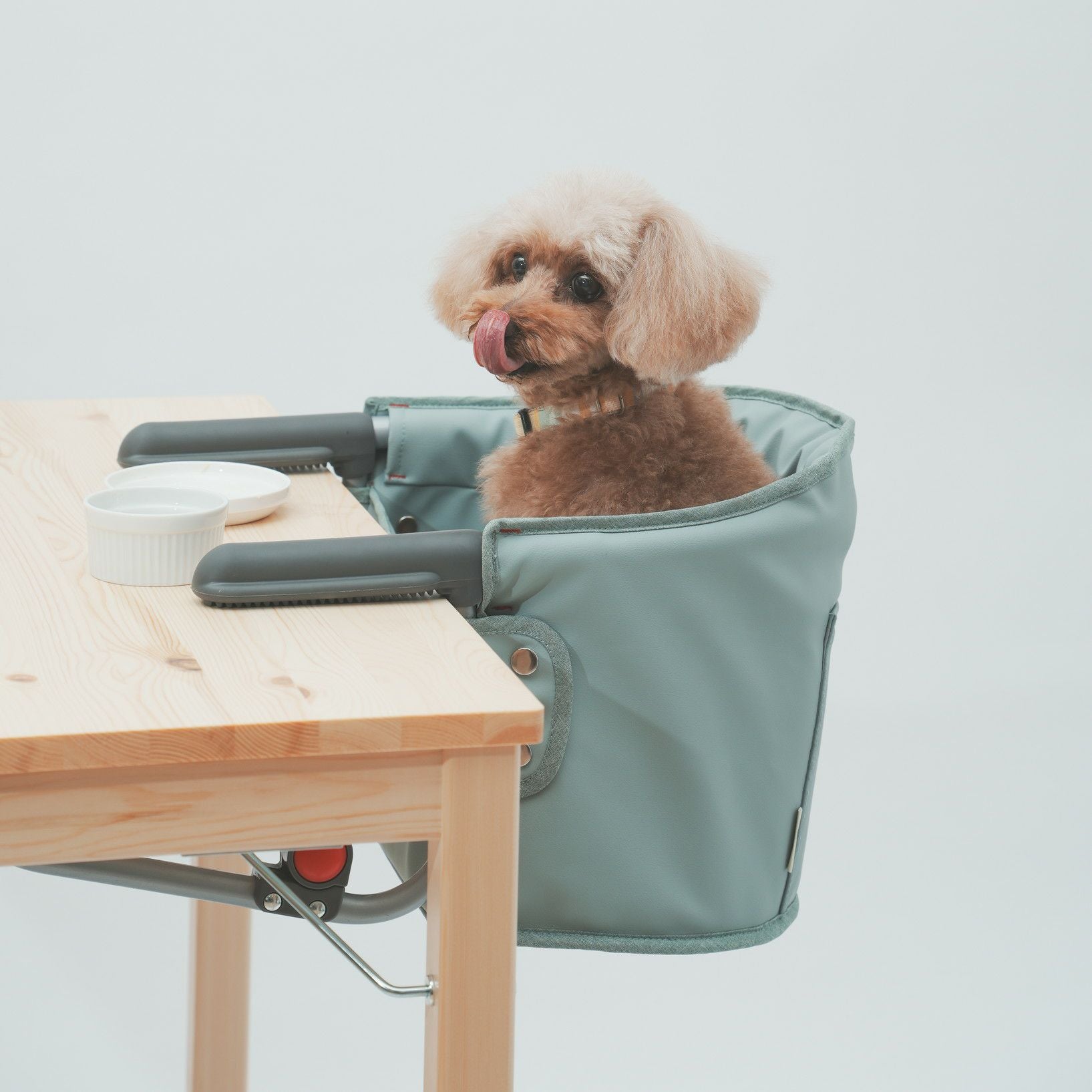 Wanyany MOGU CHAIR ペット用テーブルチェア　モグチェア　ミント MOGU (もぐ)チェア ミント | KISSBABY