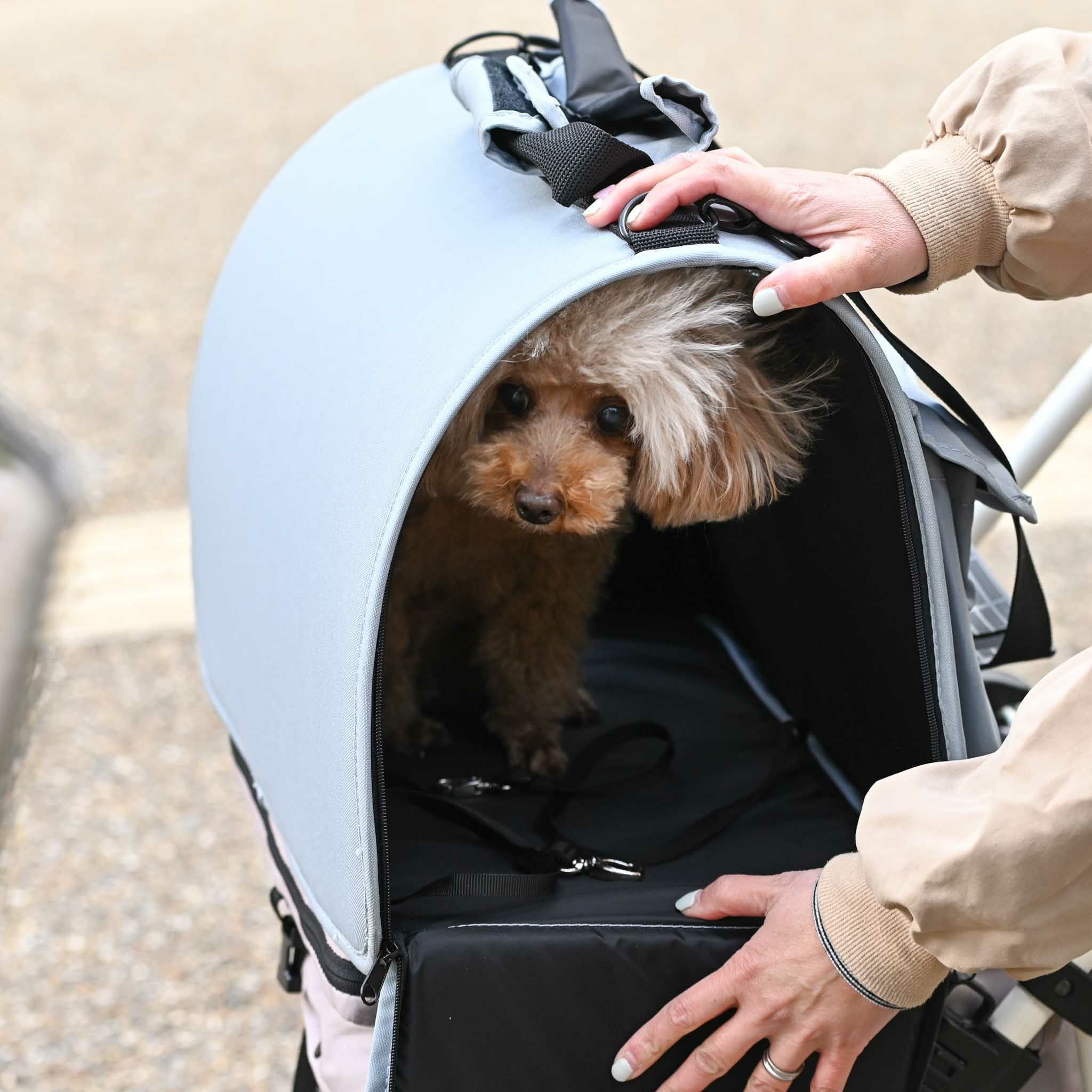 ISOFIXペットキャリーカート ナッツ | KISSBABY