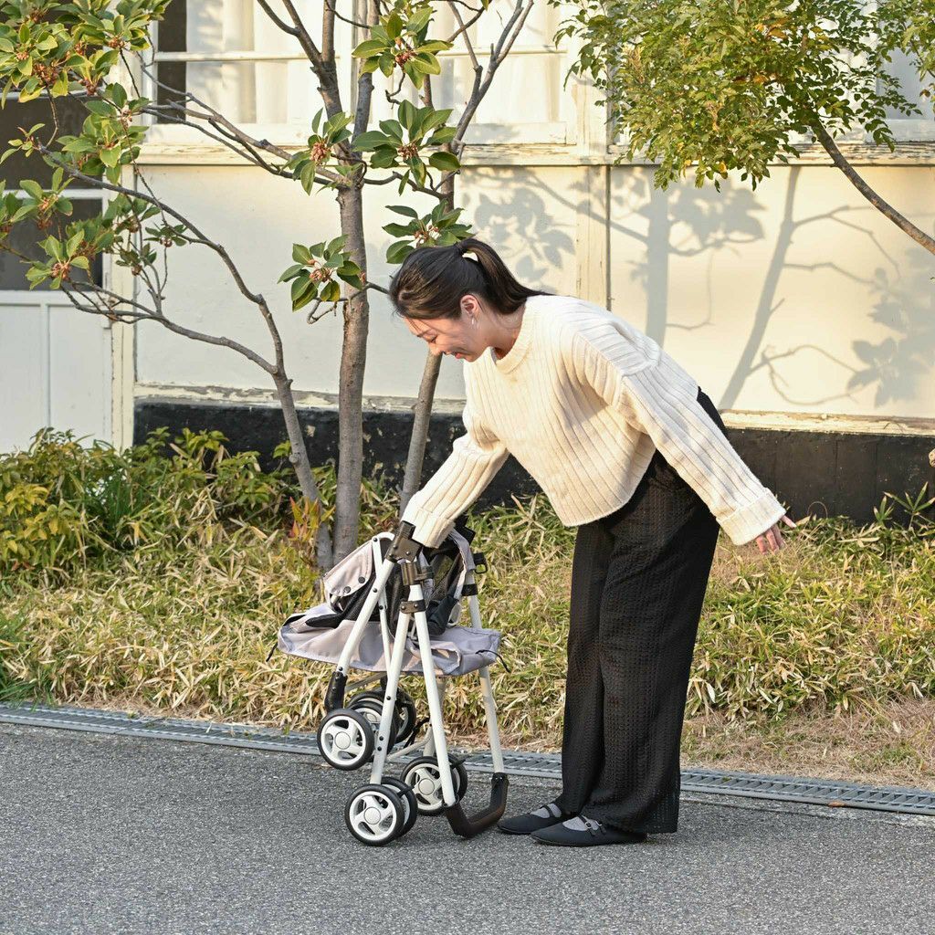 ISOFIXペットキャリーカート ナッツ | KISSBABY