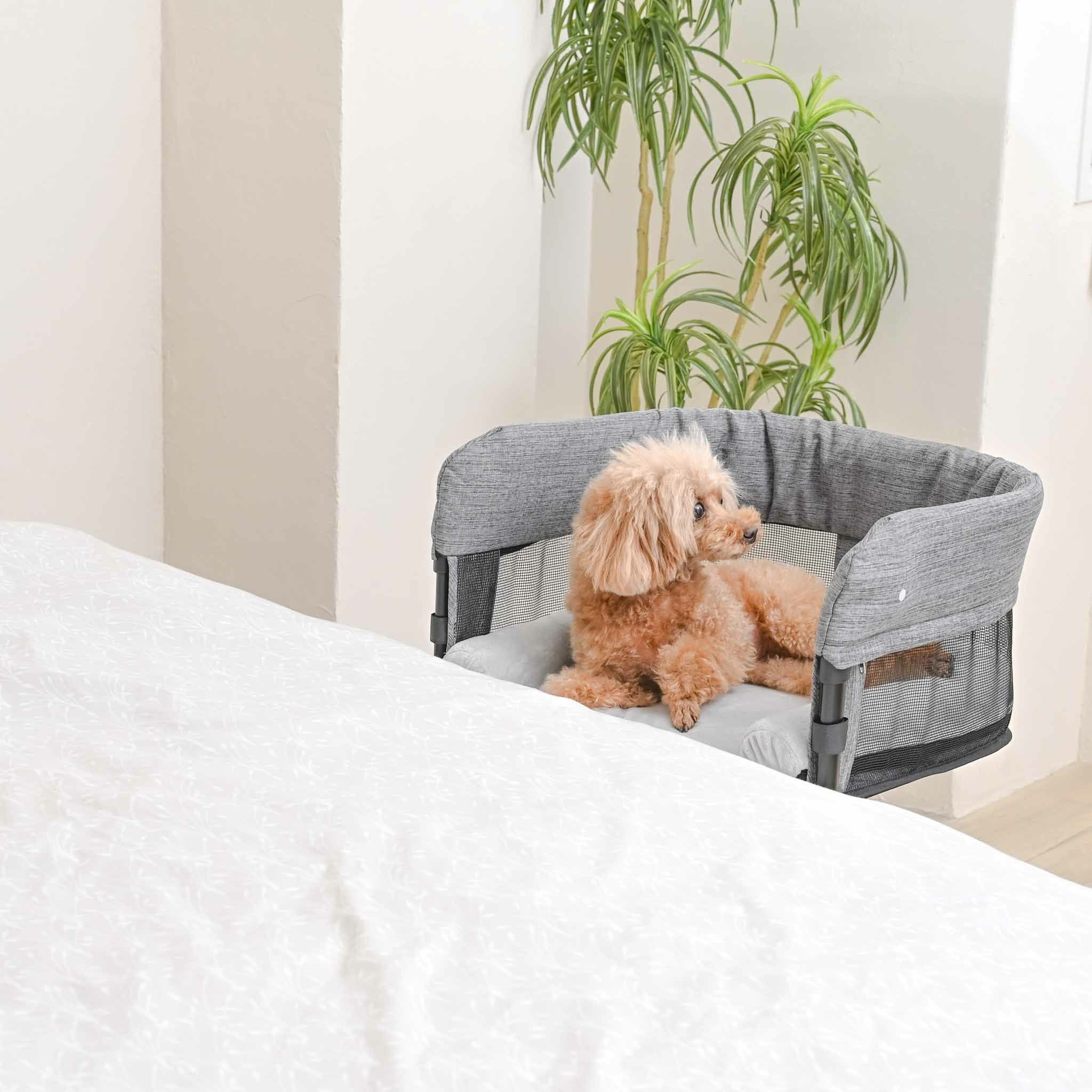 特許取得】ペット用添い寝ベッド GUUU SLEEP（グースリープ）｜愛犬