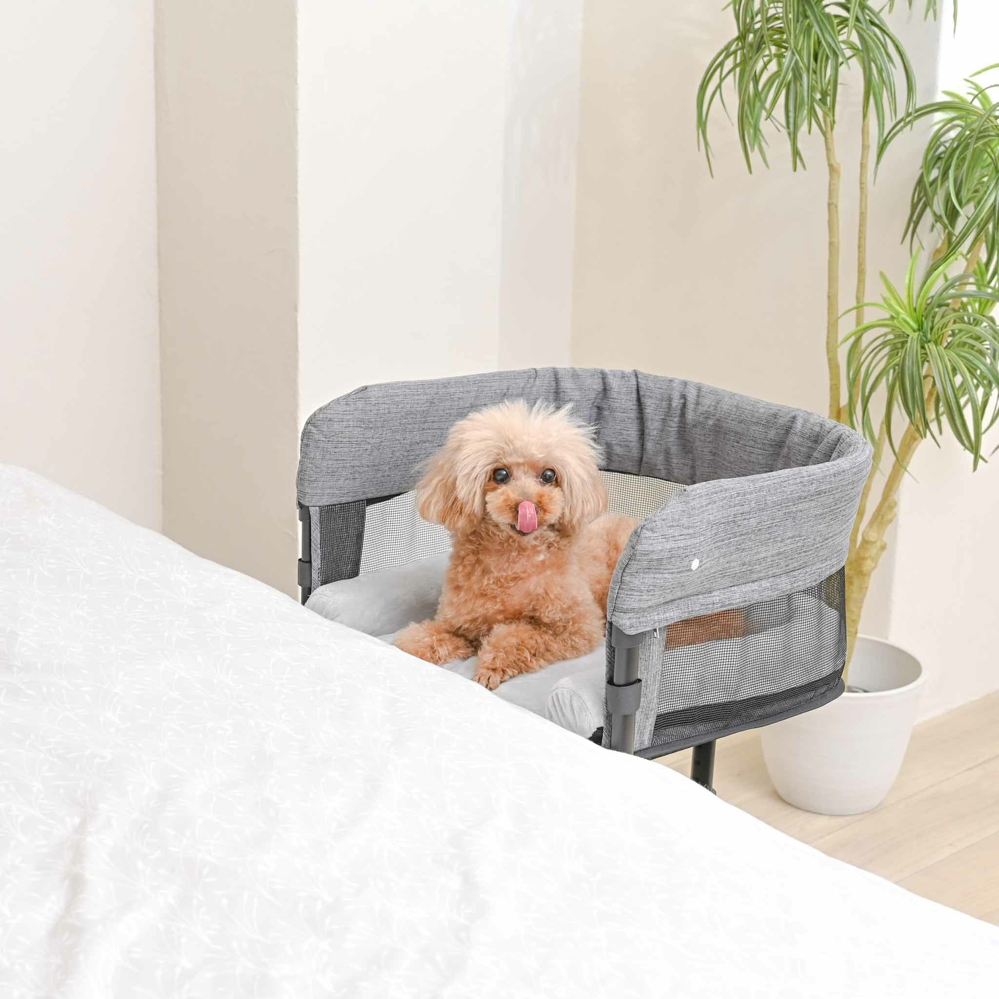 特許取得】ペット用添い寝ベッド GUUU SLEEP（グースリープ）｜愛犬