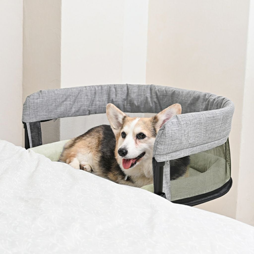 特許取得】ペット用添い寝ベッド GUUU SLEEP（グースリープ）｜愛犬