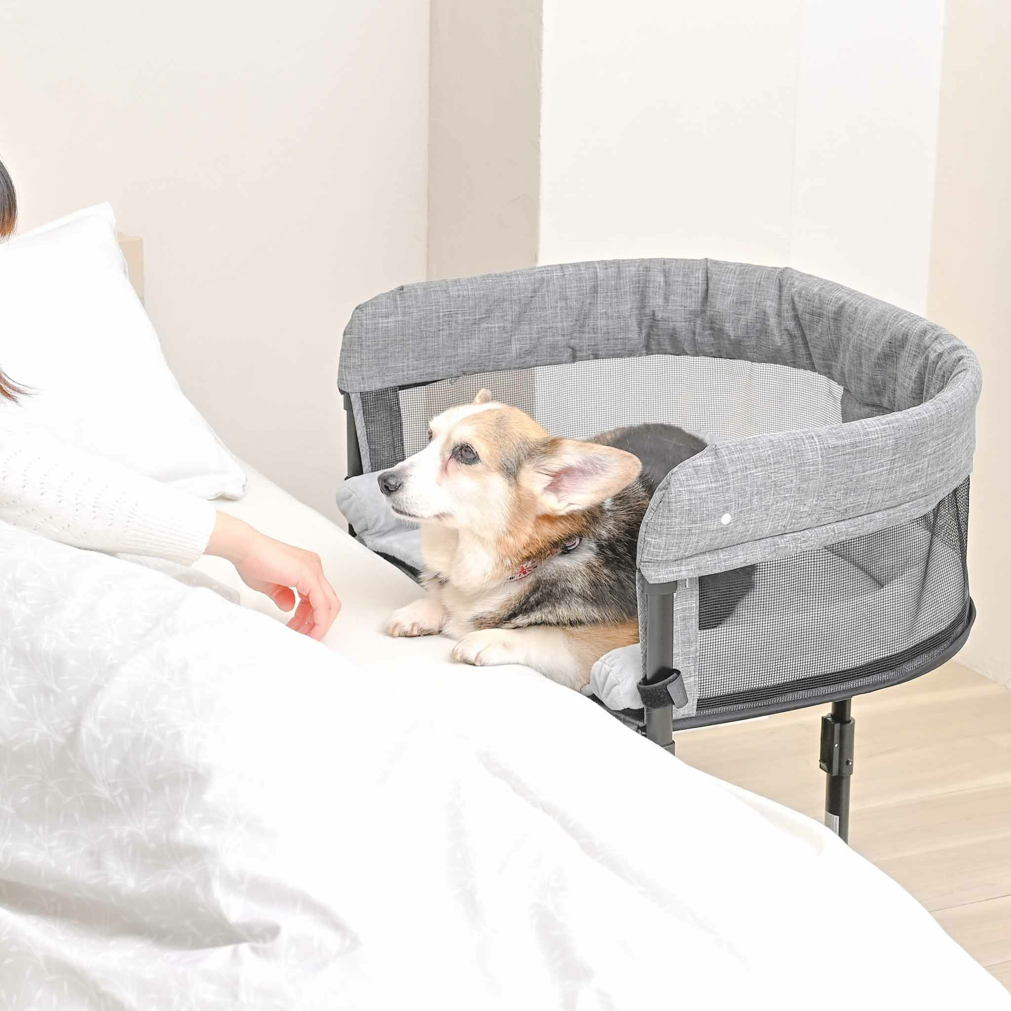 特許取得】ペット用添い寝ベッド GUUU SLEEP（グースリープ）｜愛犬
