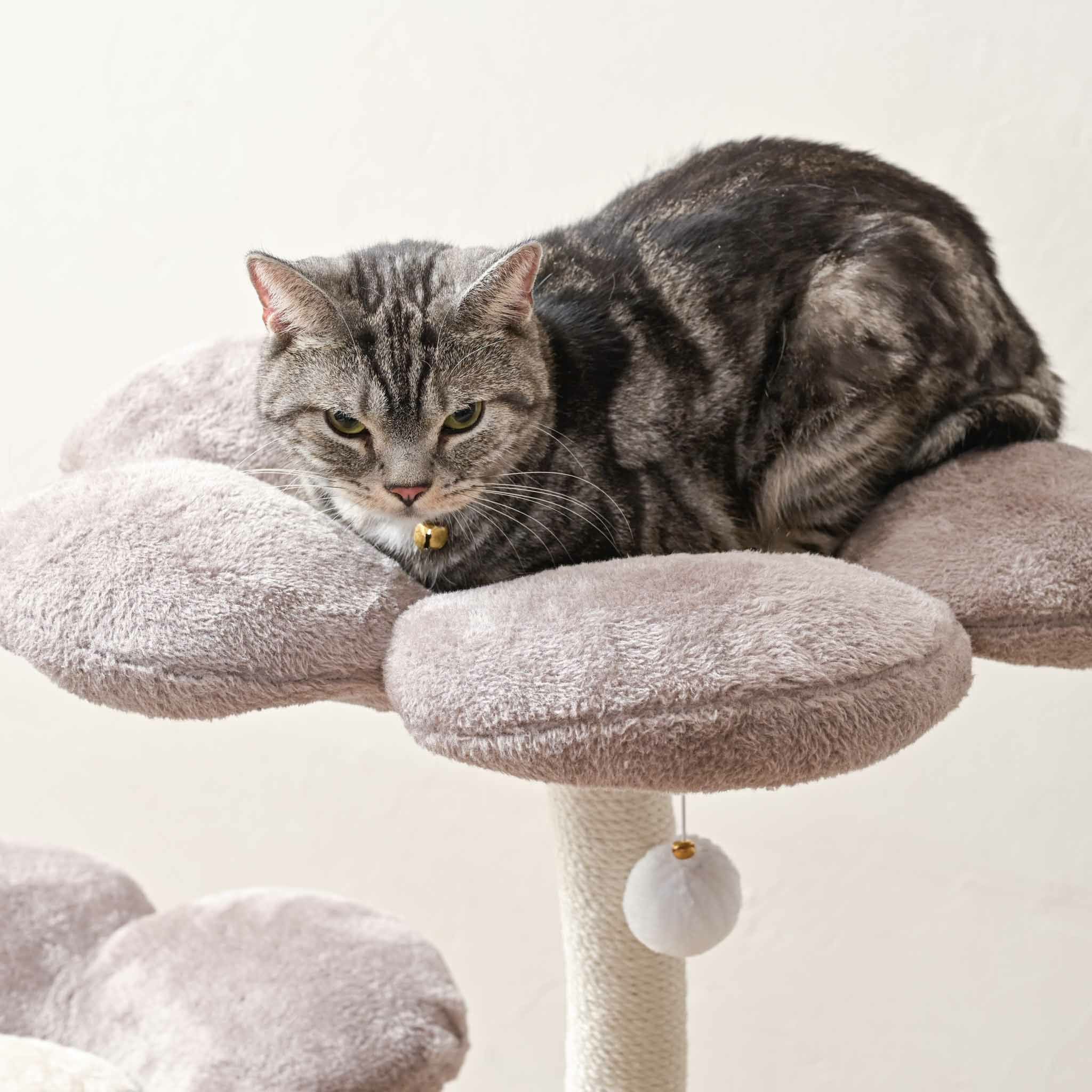 キャットツリーおしゃれ猫タワーかわいいきのこ花爪とぎ付き猫ベッド多