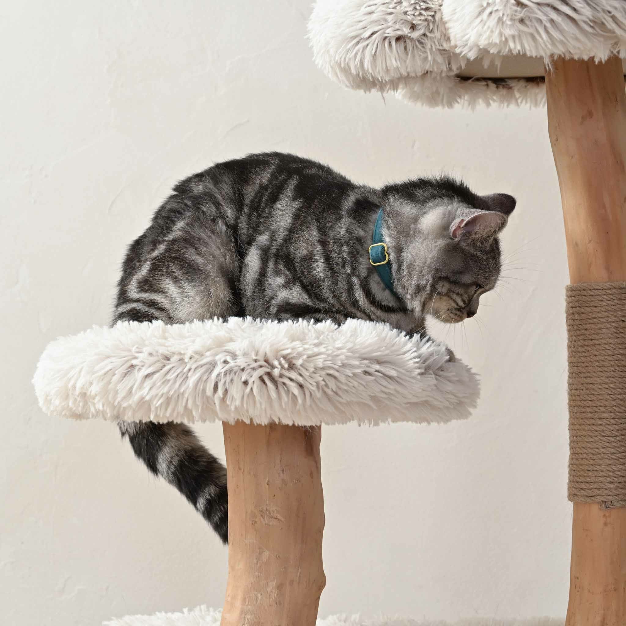 キャットツリー木製おしゃれ猫タワー天然木ナチュラルインテリア爪とぎ