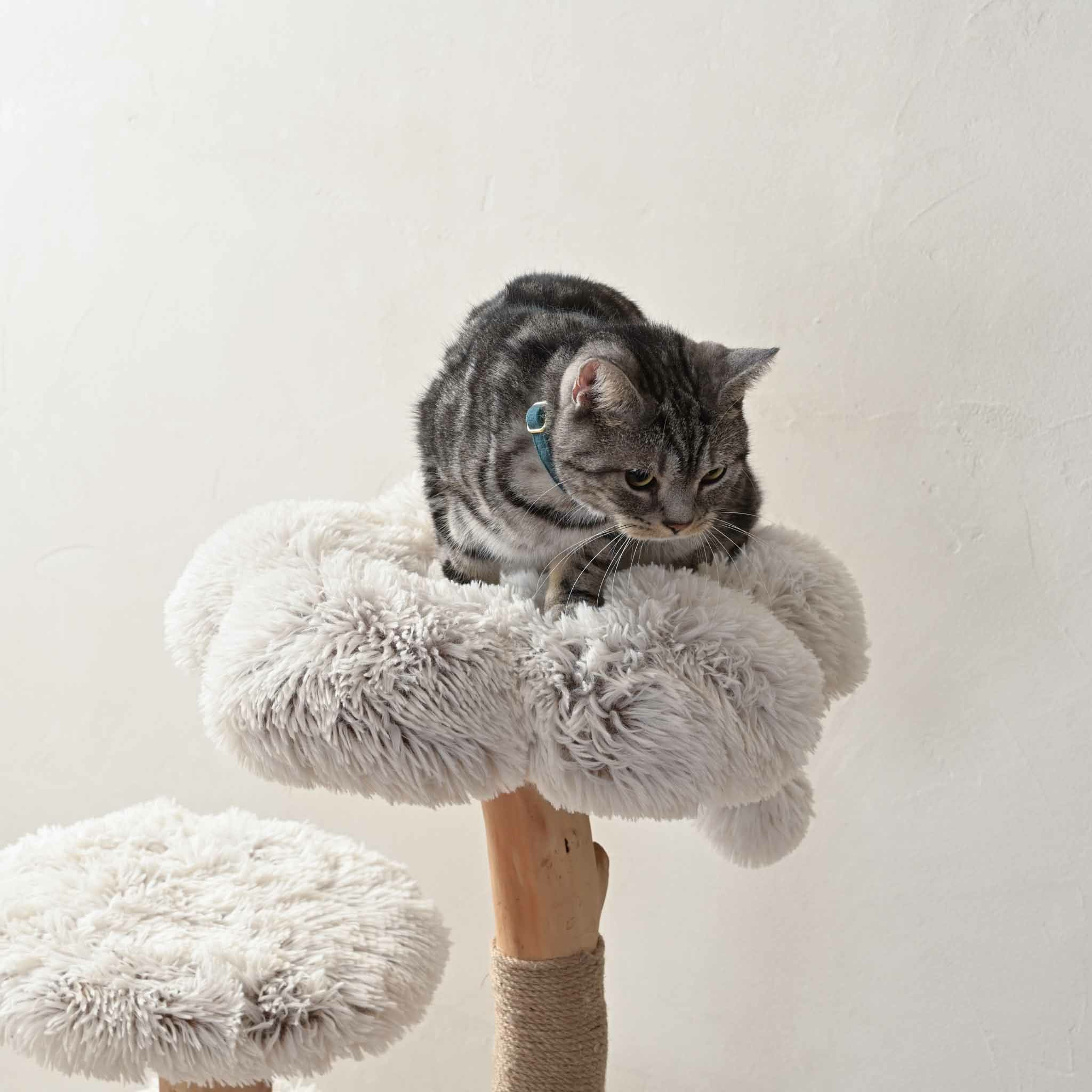 キャットツリー木製おしゃれ猫タワー天然木ナチュラルインテリア爪とぎ