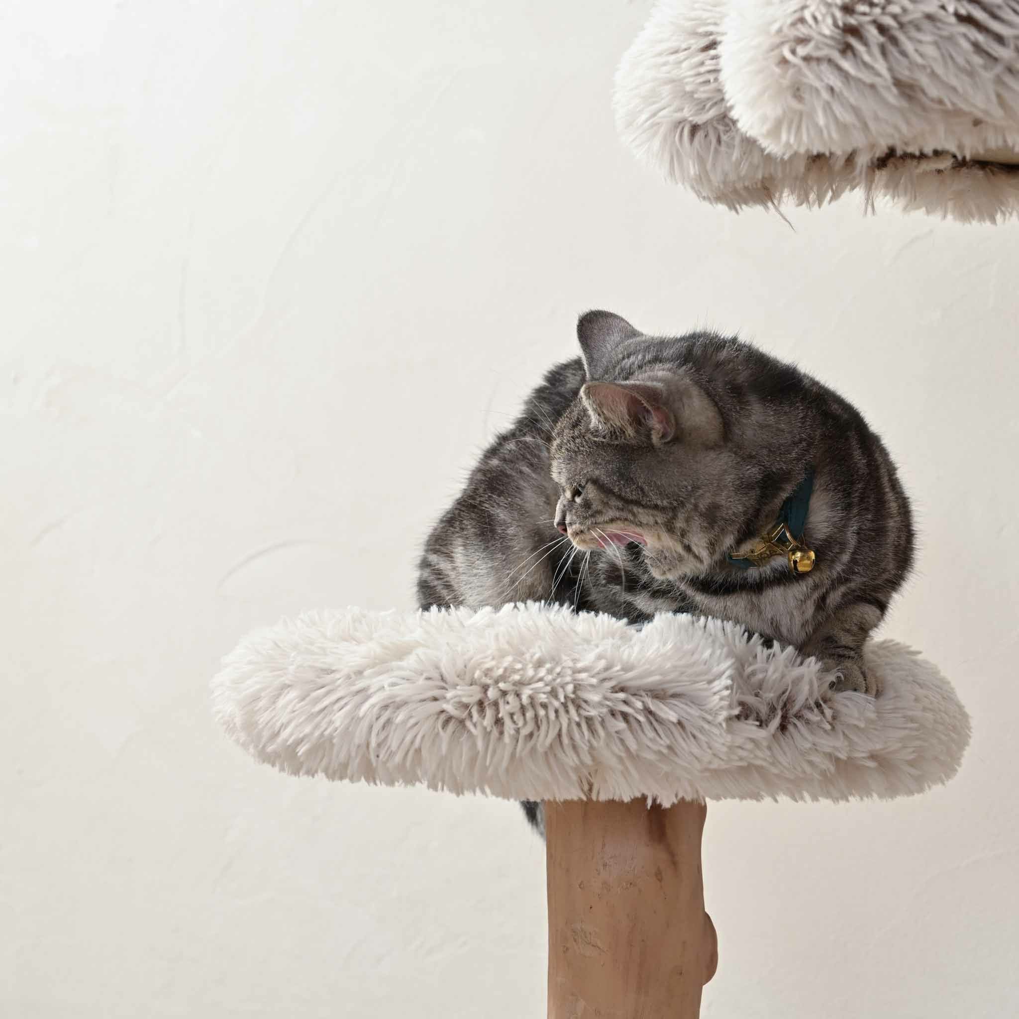 キャットツリー木製おしゃれ猫タワー天然木ナチュラルインテリア爪とぎ