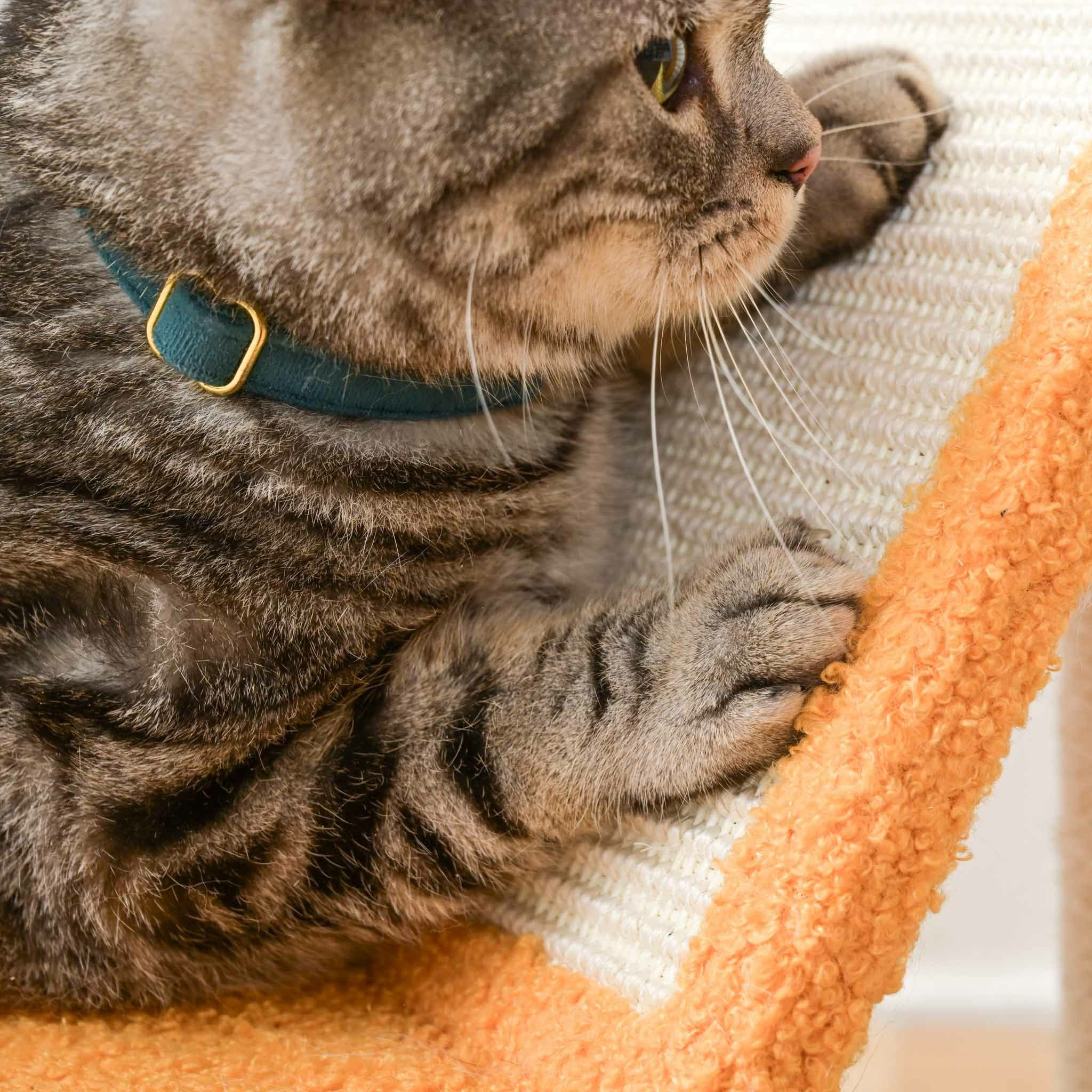キャットツリー きのこ | KISSBABY